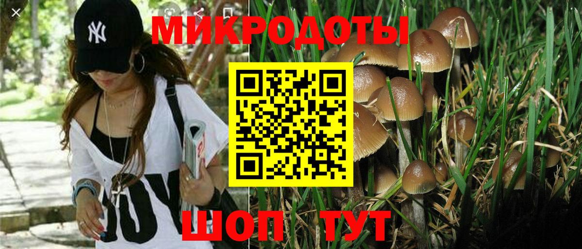 Псилоцибиновые грибы Cubensis Борисоглебск